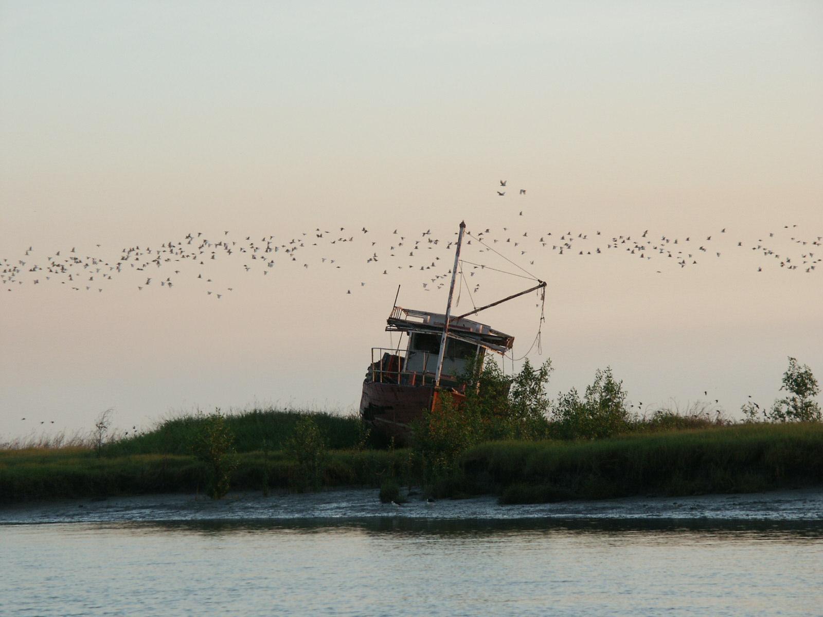 Boat near Shady Camp