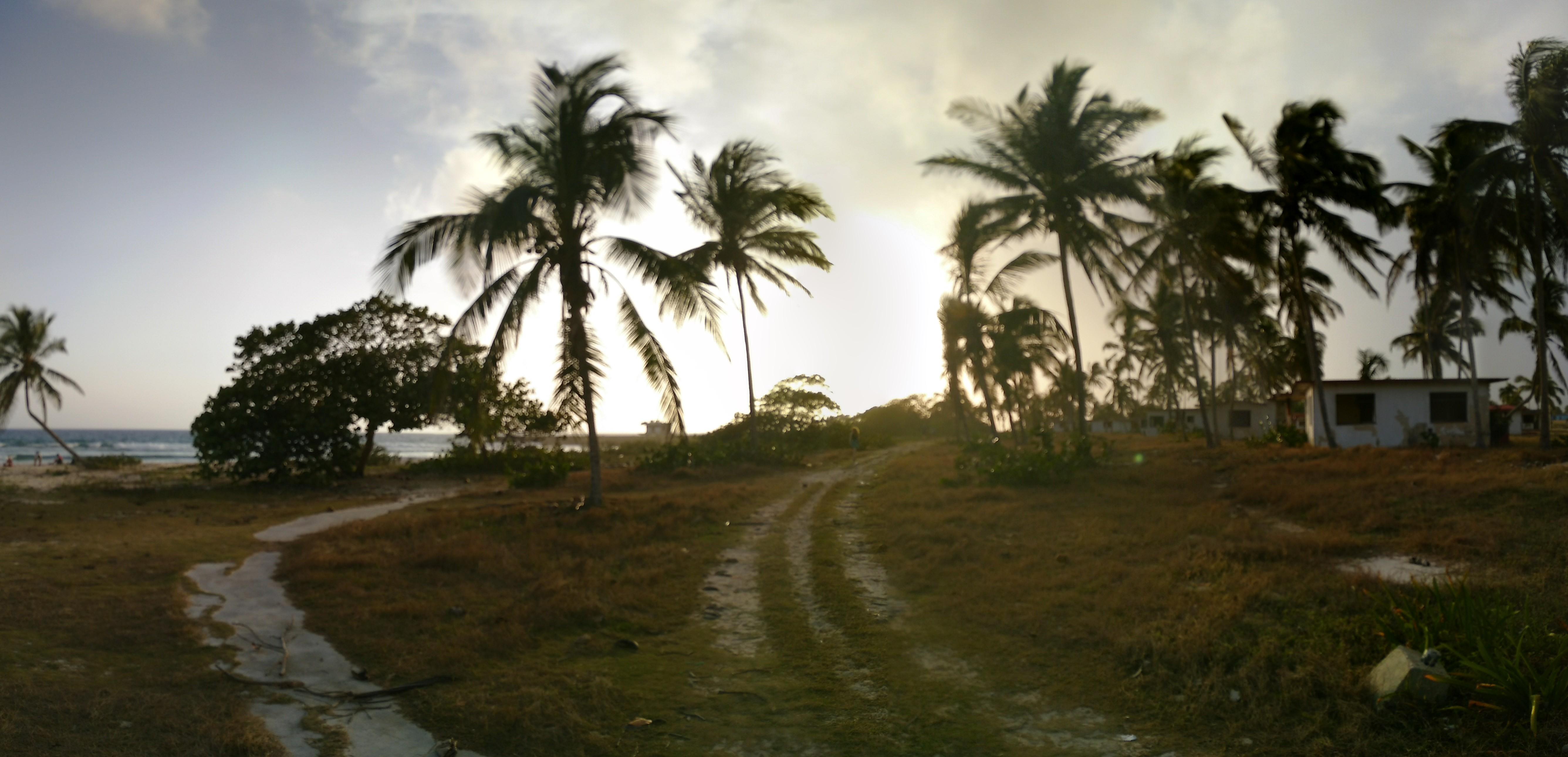 No filter, just not focused