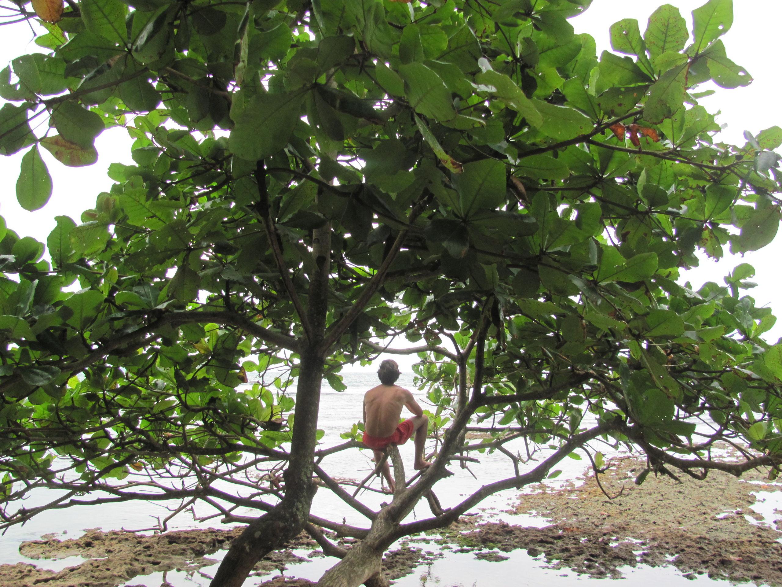 Der alte Mann und das Meer