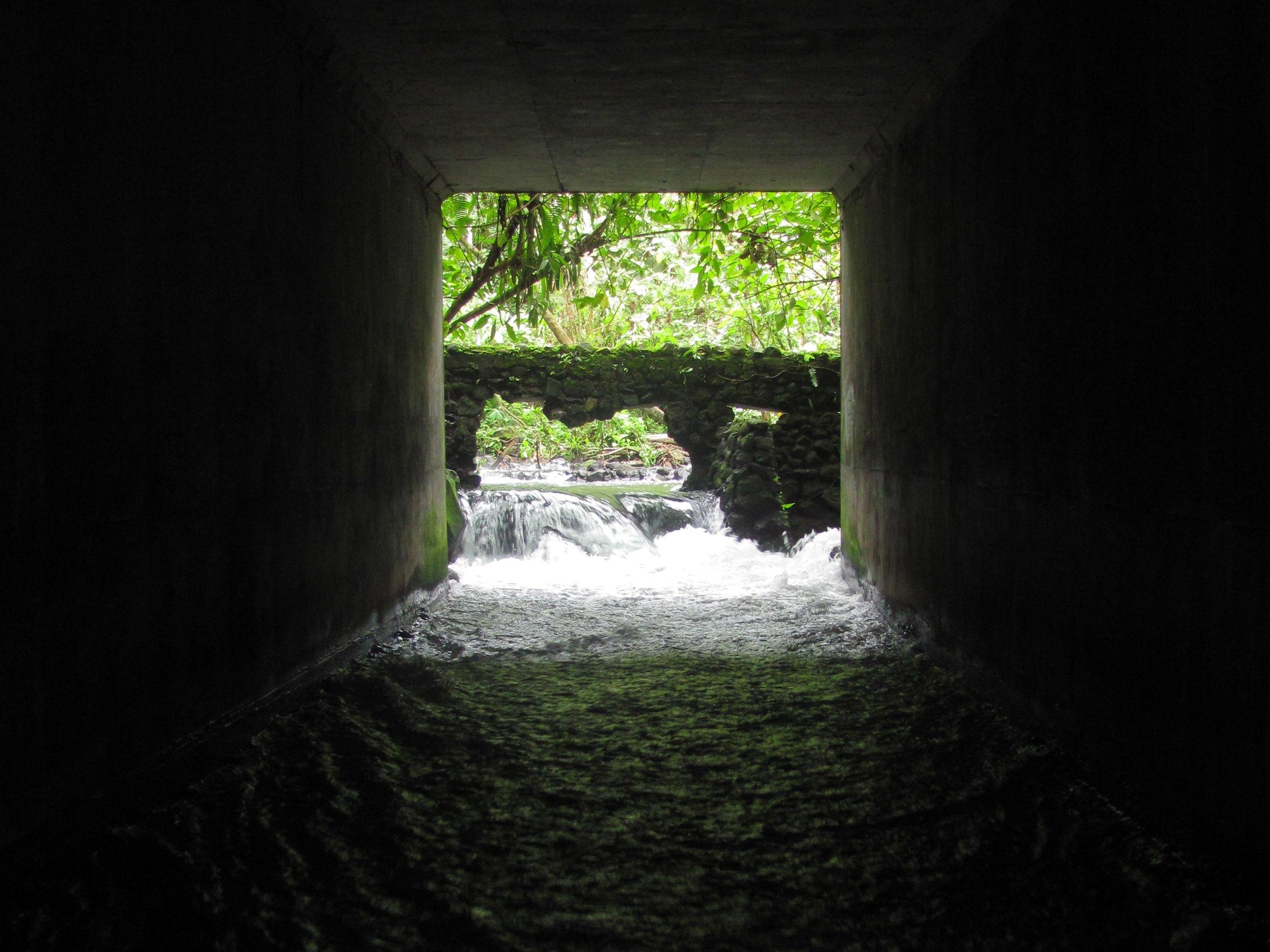 Was kommt denn da auf uns zu?