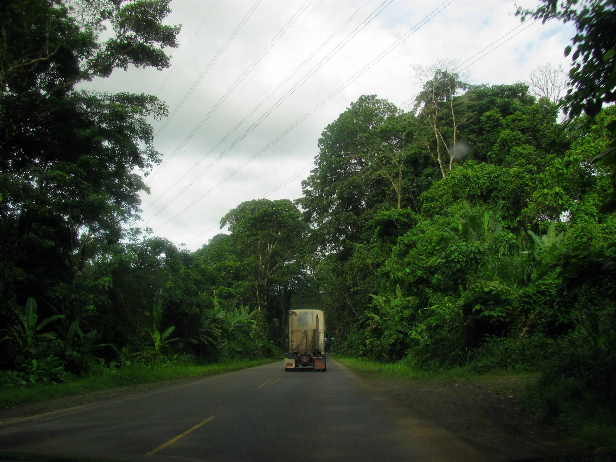 Grüner wirds nicht!