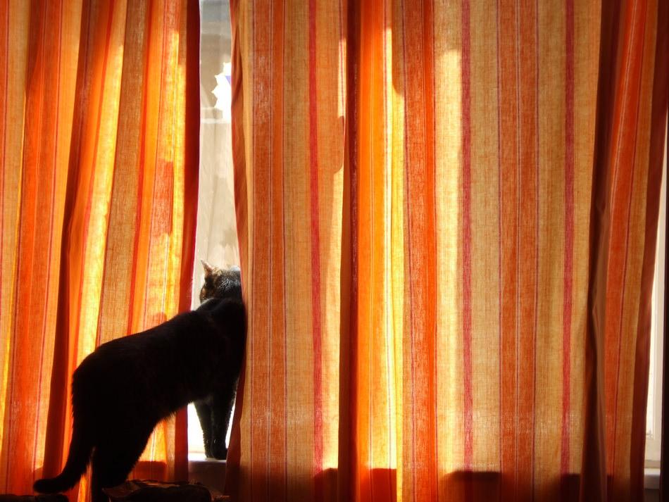 What´s happening in Budapest?