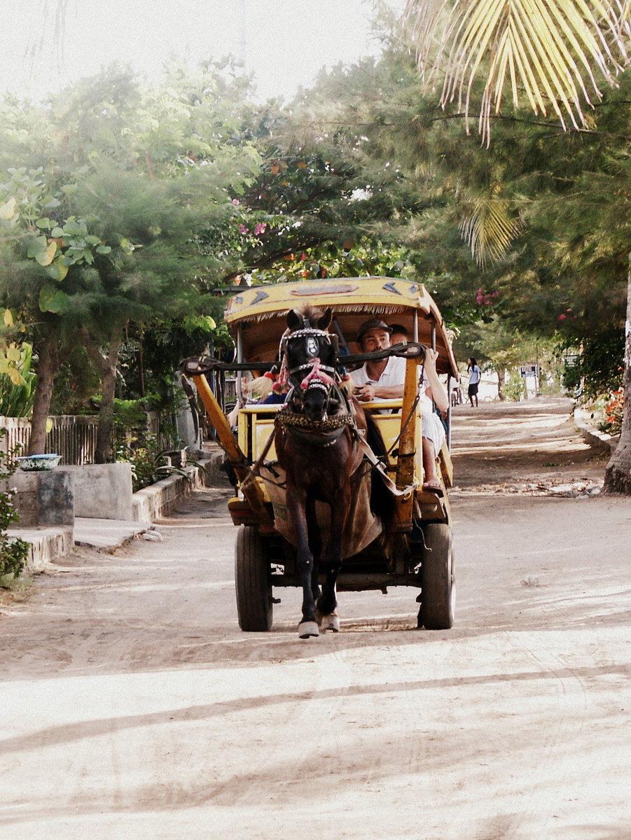 Transportation on Gili Travangan