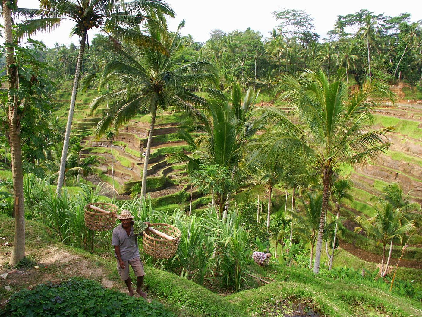 More time for sightseeing