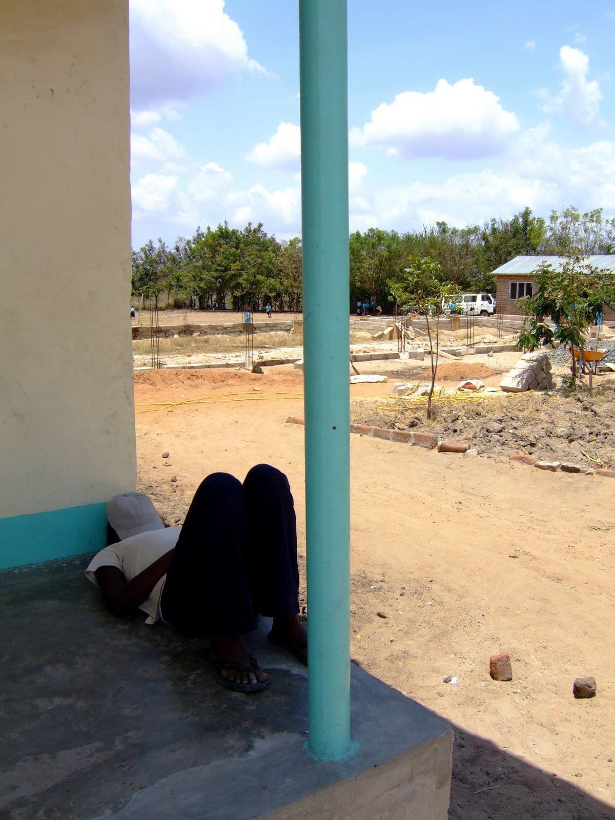 Gathering strength in the shade