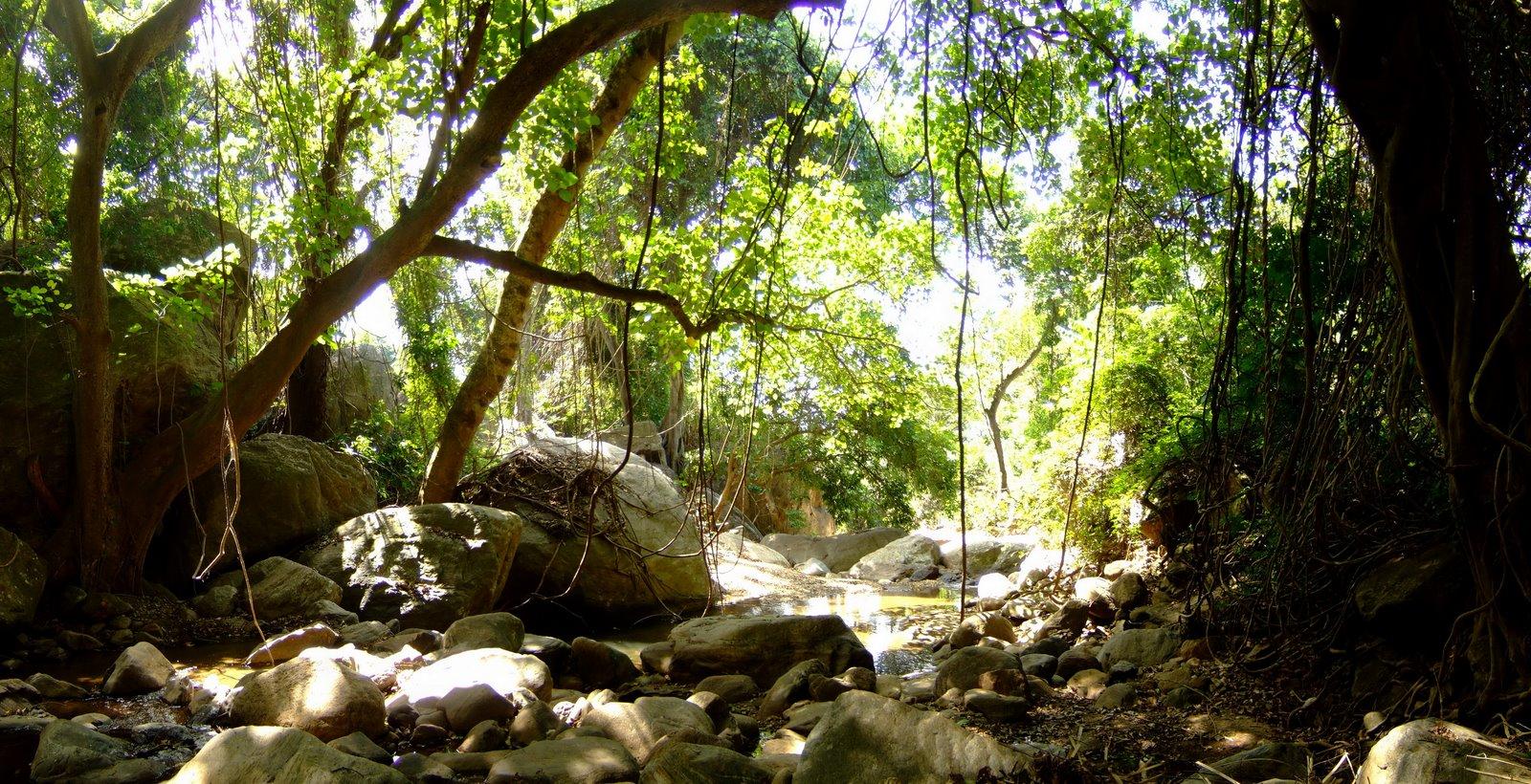 Where the river flows