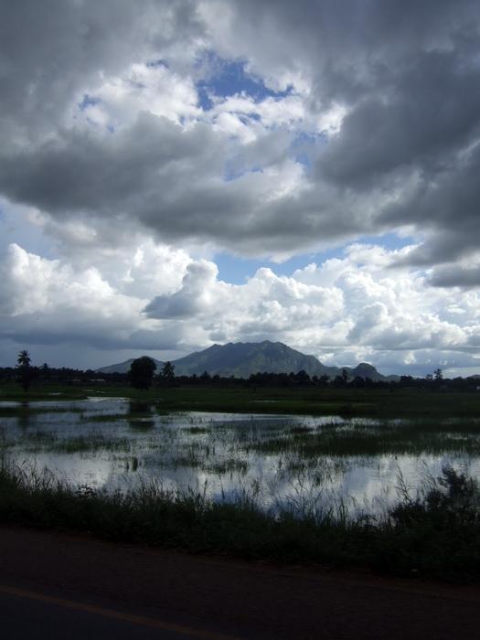 I dreamed of Africa