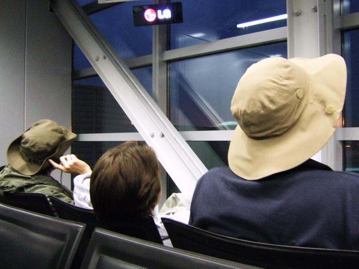 Waiting to fly