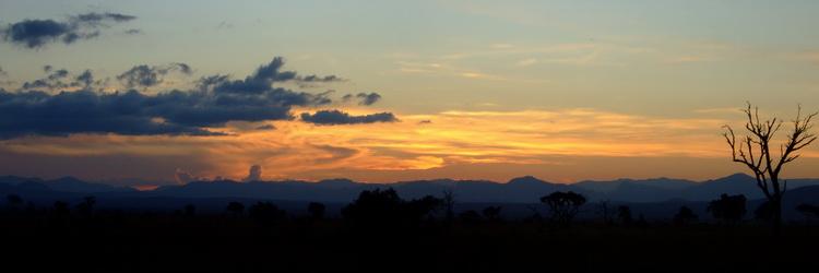 Sunset in Mikumi National Park