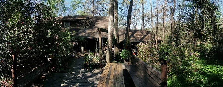 The beautiful backyard where I stayed