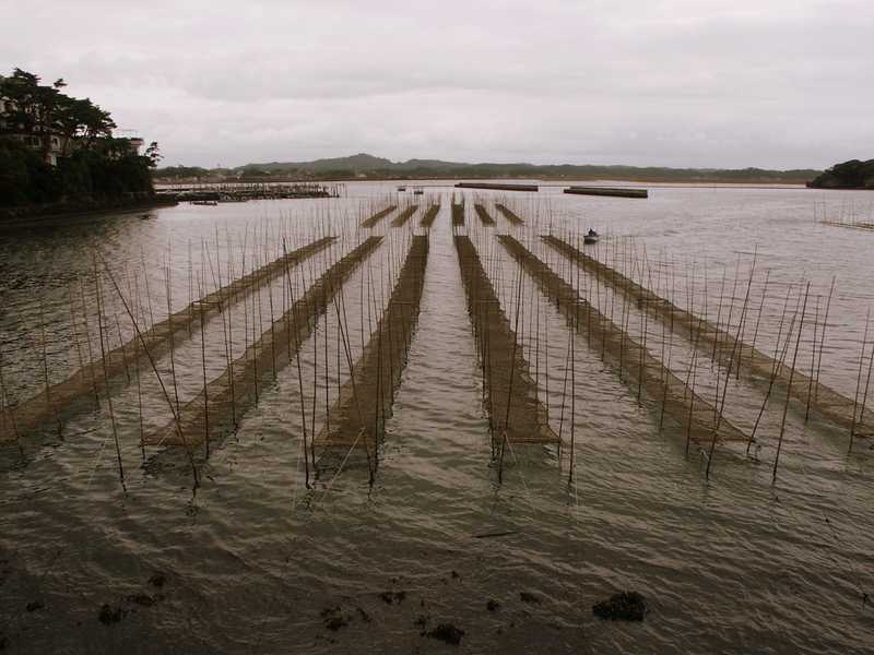 Fishing nets near Sendai